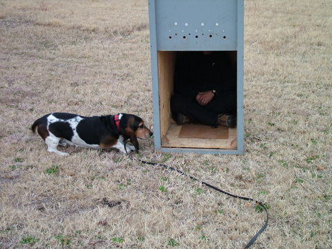 bark_box.jpg